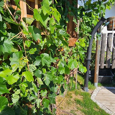 فيلا Blockhaus Im Sueden Deutschlands بادن - فورتمبرغ المظهر الخارجي الصورة
